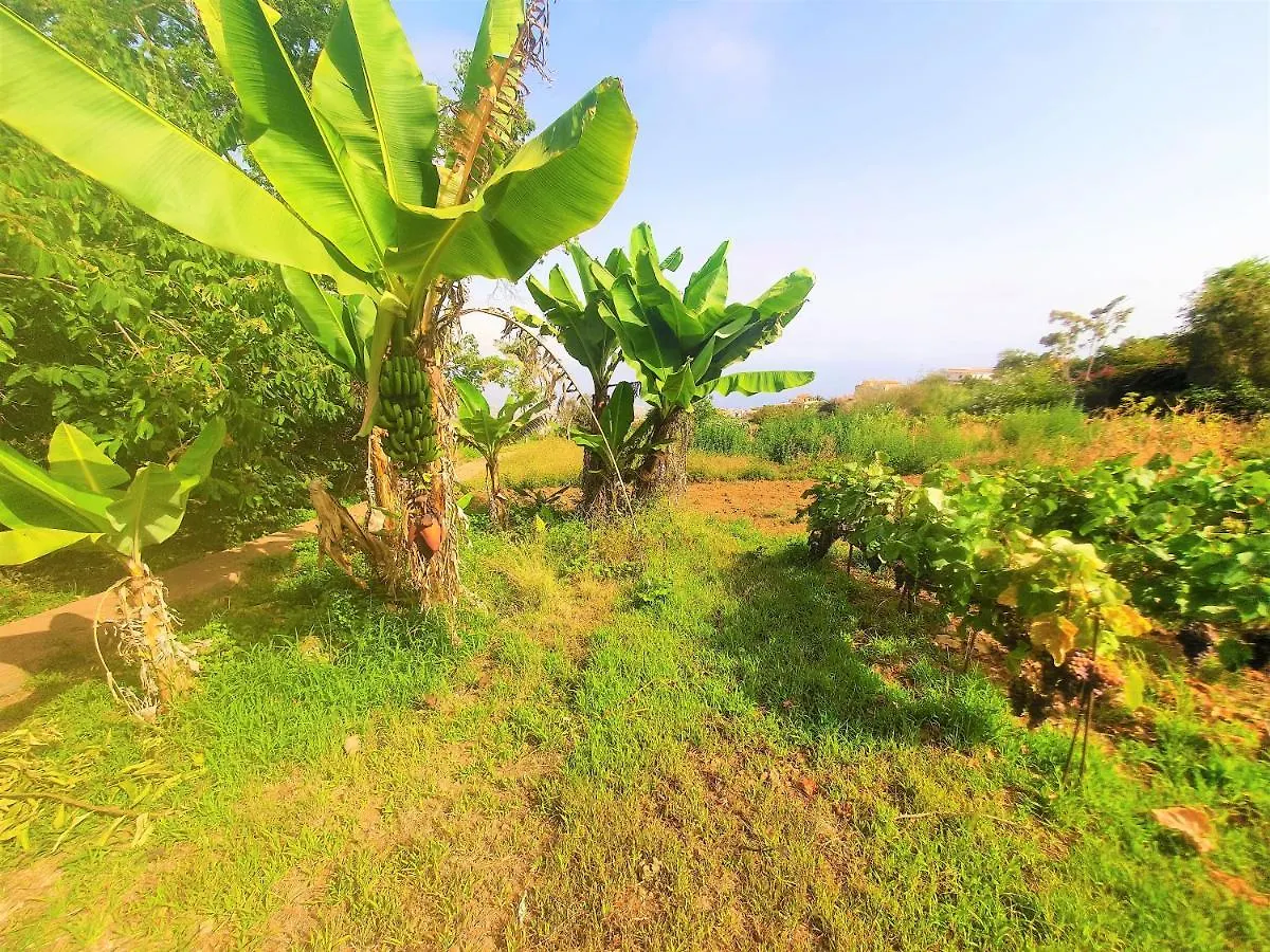 Holiday home Casa En Finca Ecologica - Wifi La Orotava
