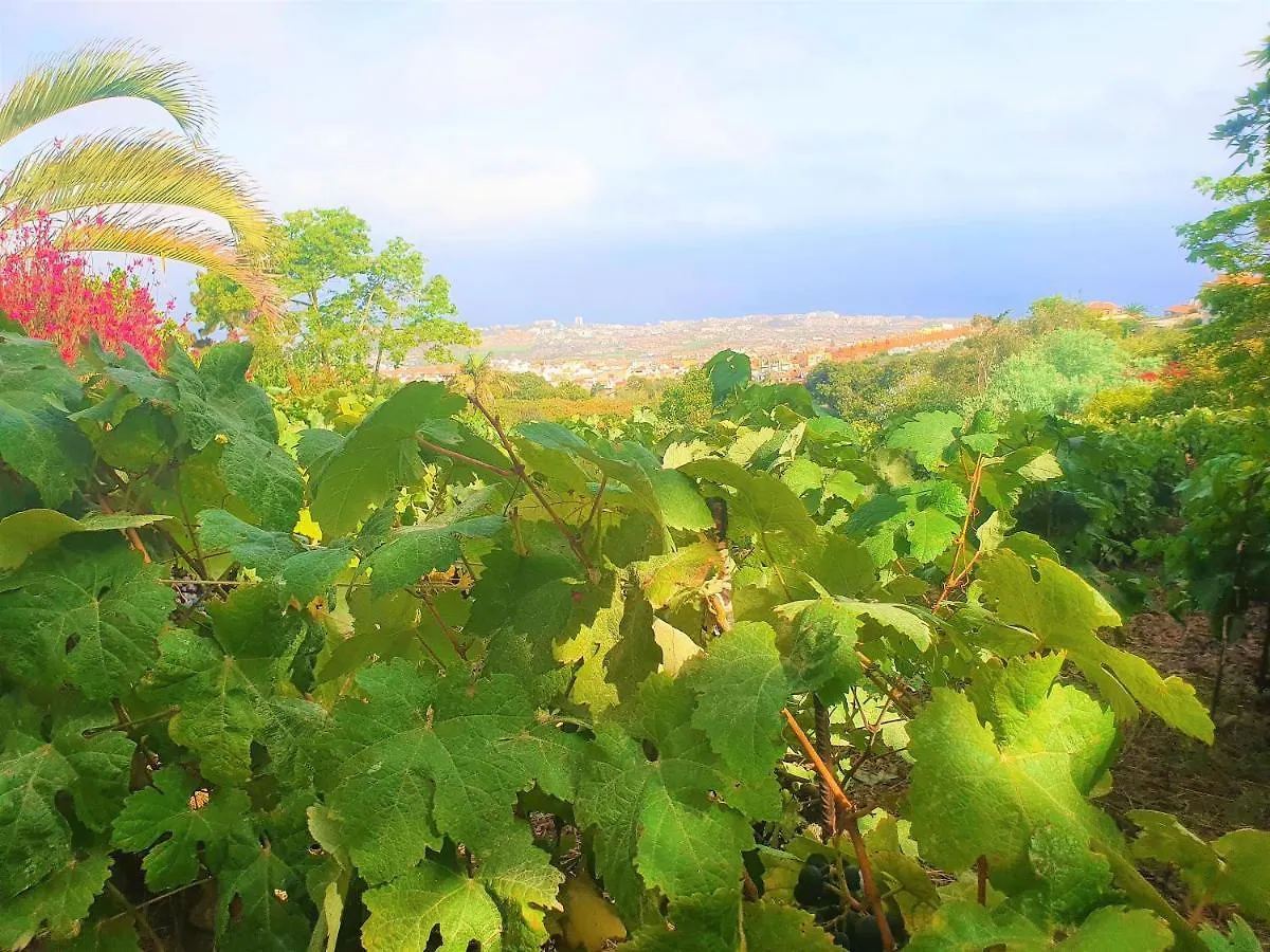 Casa En Finca Ecologica - Wifi location